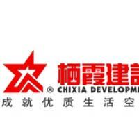 棲霞建設董事會決議公告 選舉江勁松為董事長、總裁及投資興辦實業